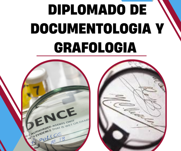 estudia tu diplomado 